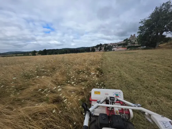 Débroussaillage et girobroyage