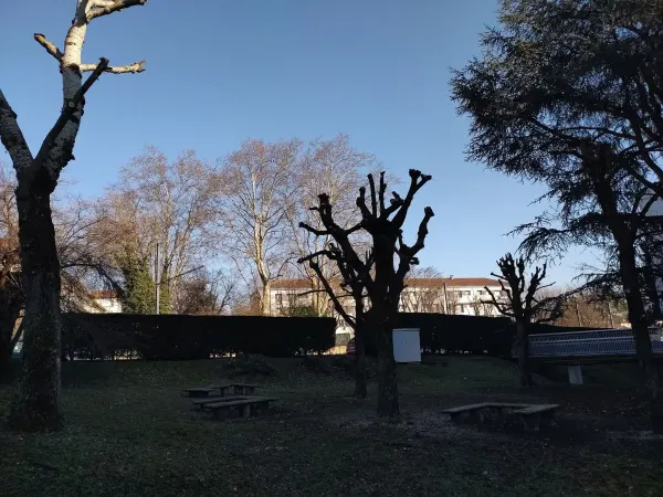Élagage en copropriété, 30 m³ de broyage