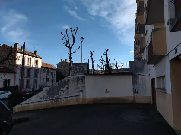 Élagage en copropriété