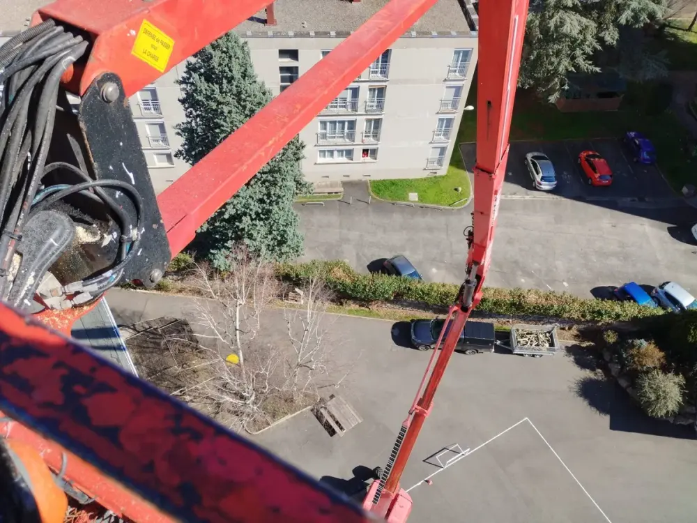 Élagage d’un platane de plus de 30 m à la nacelle — vue 5