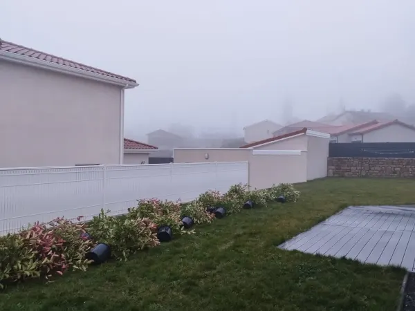 Plantation d’une haie de photinias