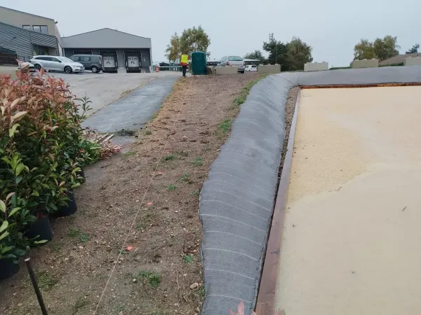 Plantation d’une haie de photinias et d’arbres