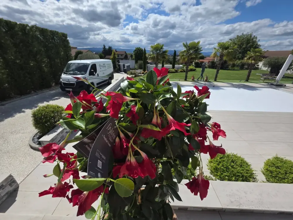 Plantation de dipladénias et aménagement d’un porche — vue 4