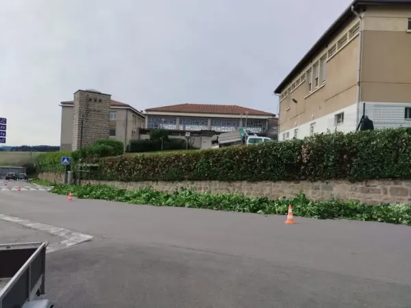 Rabattage d’une haie de lauriers pour le collège