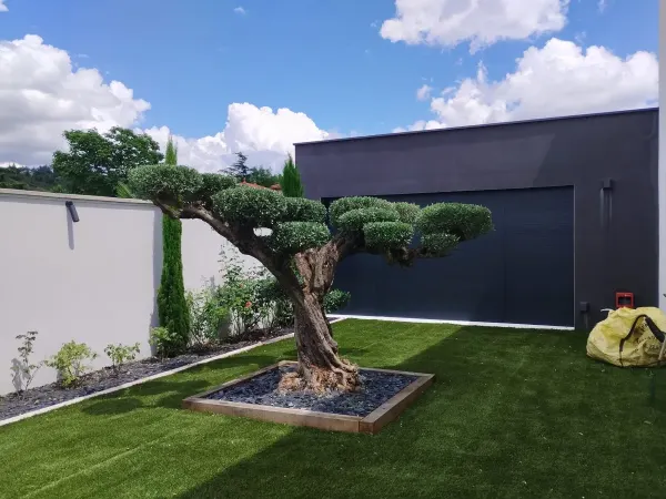 Reformation d’arbres et entretien des rosiers
