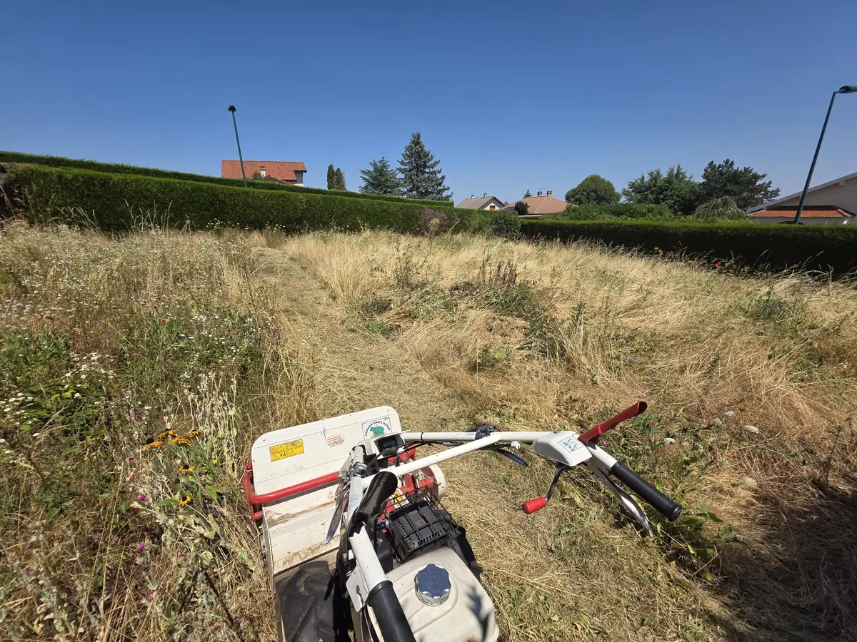 Motofaucheuse ouvrant un passage dans les herbes hautes d'un terrain enfriché bordé d'une haie taillée