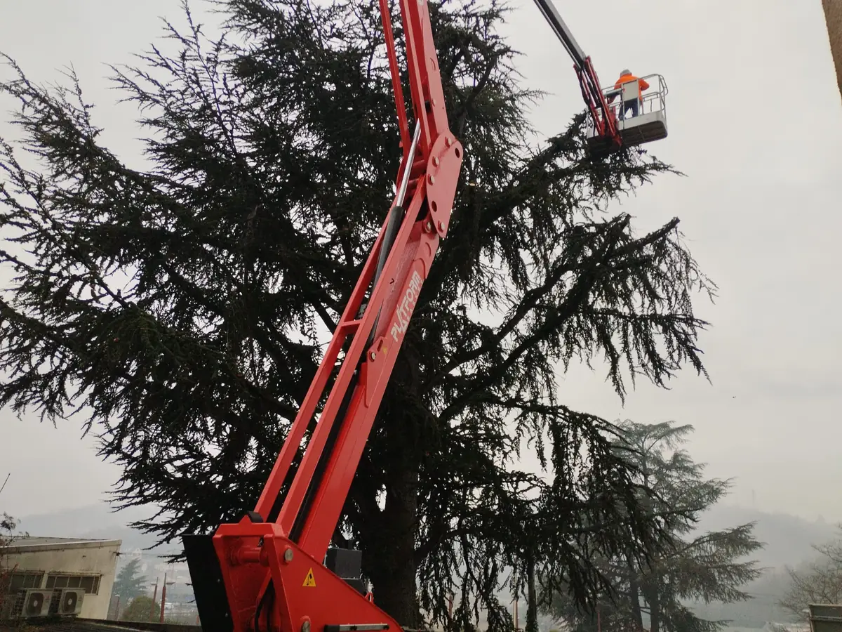 Élagueur harnaché dans le panier d'une nacelle élévatrice taillant les branches hautes d'un grand cèdre