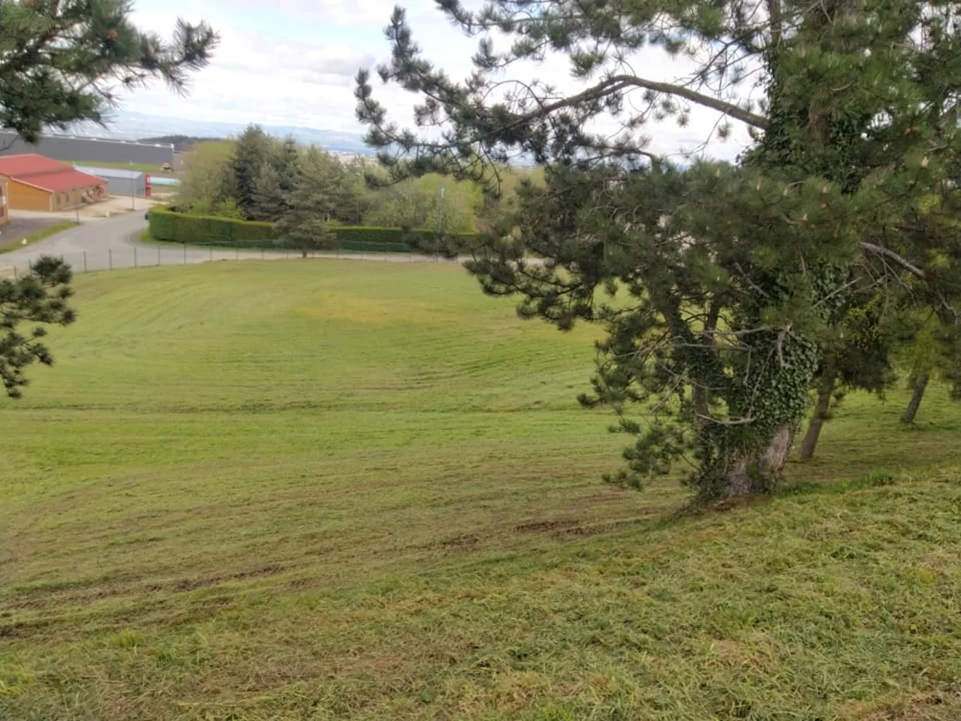 Jardin entretenu par MDF Paysage dans le Forez