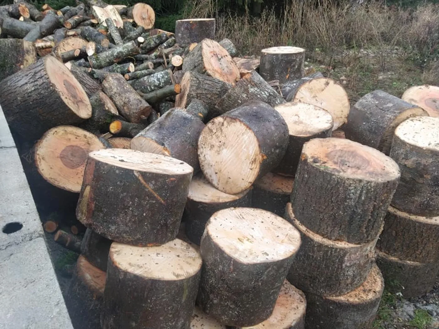 Bois coupé après un abattage