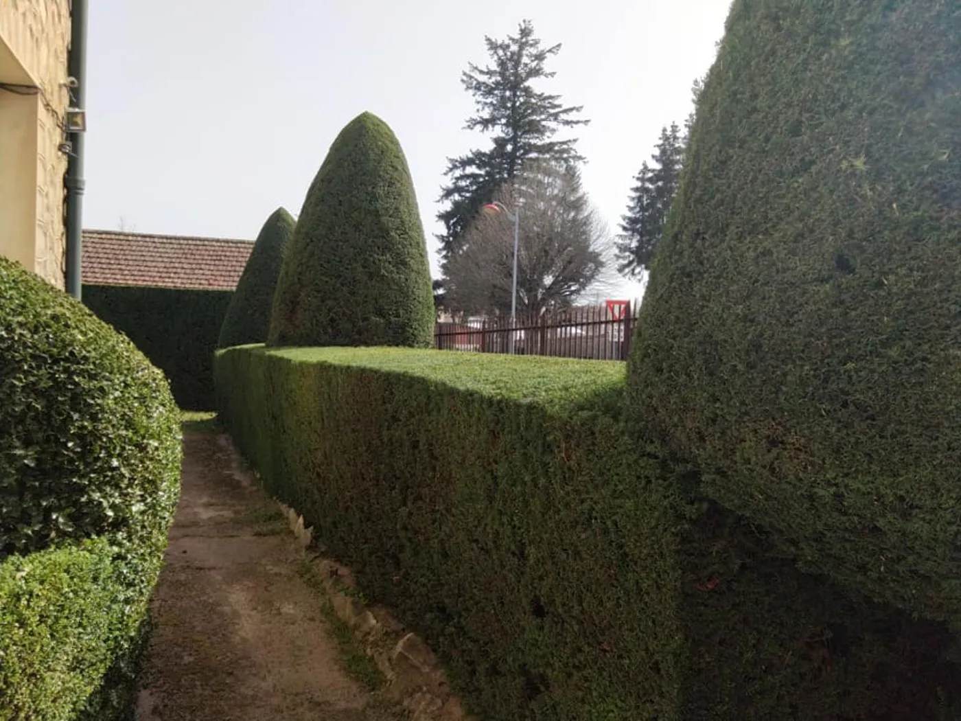 Massifs et haies créés par MDF Paysage